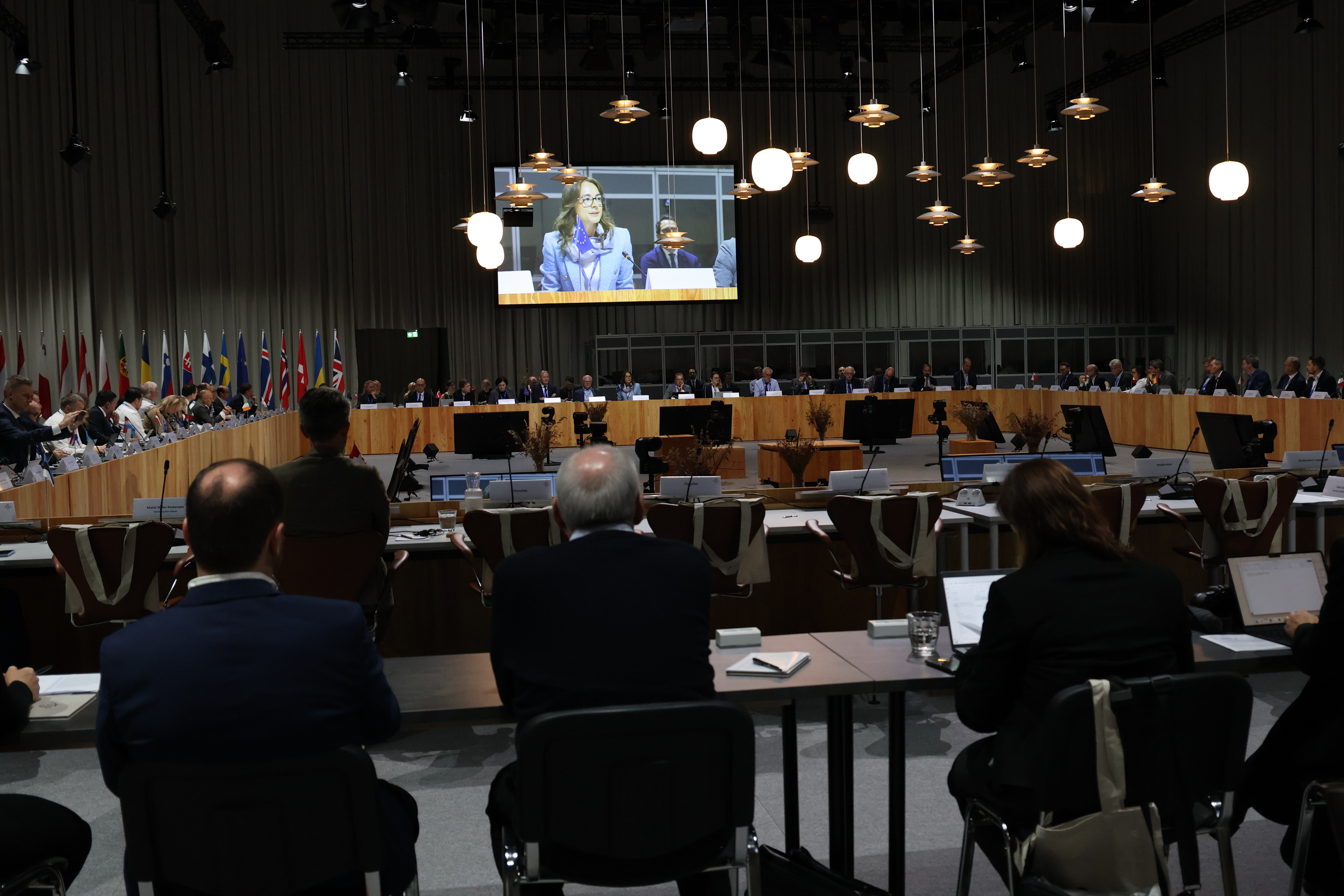 Foto fra konferencesalen i Forum, hvor man kan se deltagerne fra ryggen og  Oana Gherghinescu, administrerende direktør i ERA, tale på storskærm bagved