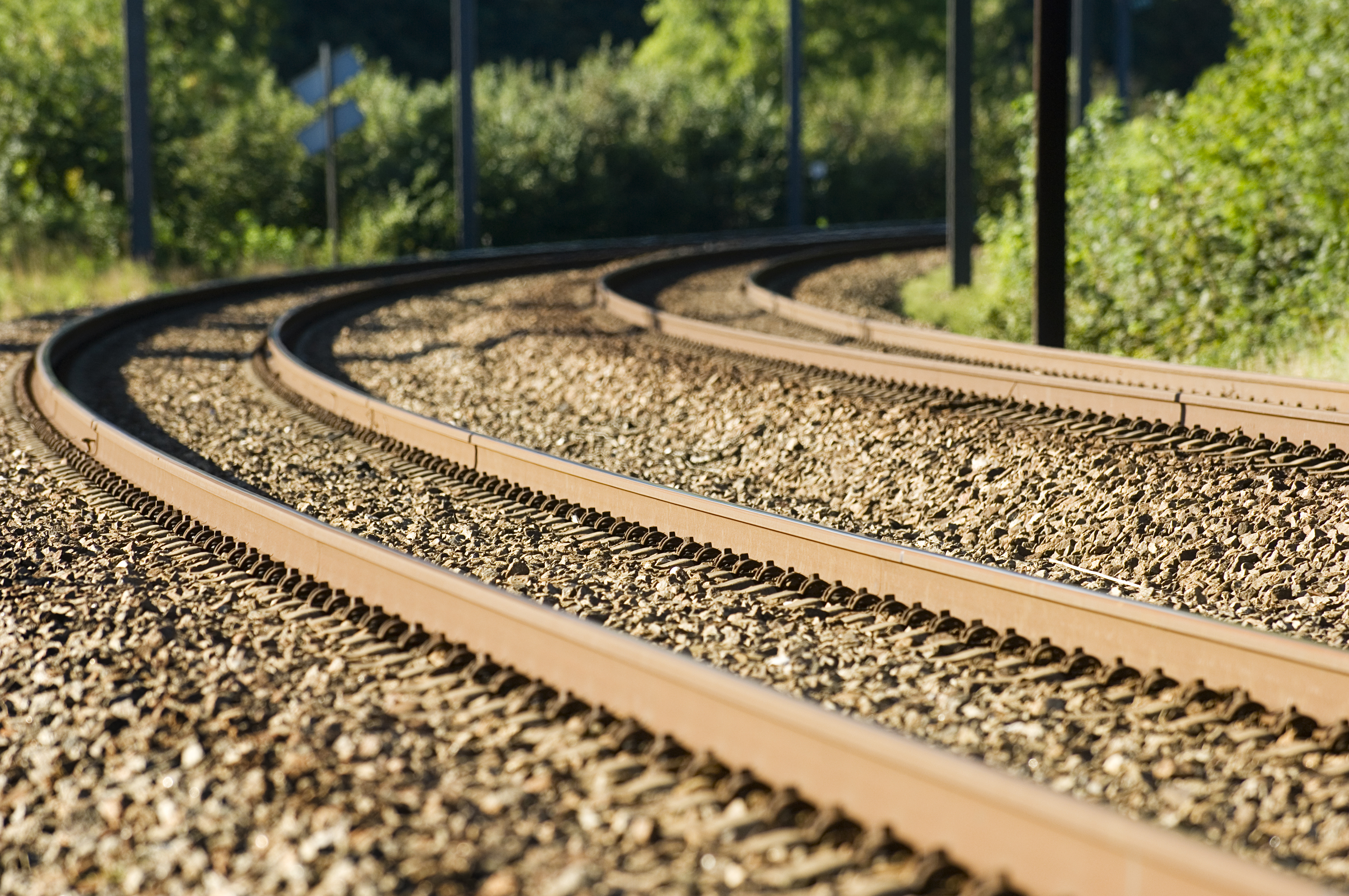 Jernbaneskinner, der løber igennem en skov
