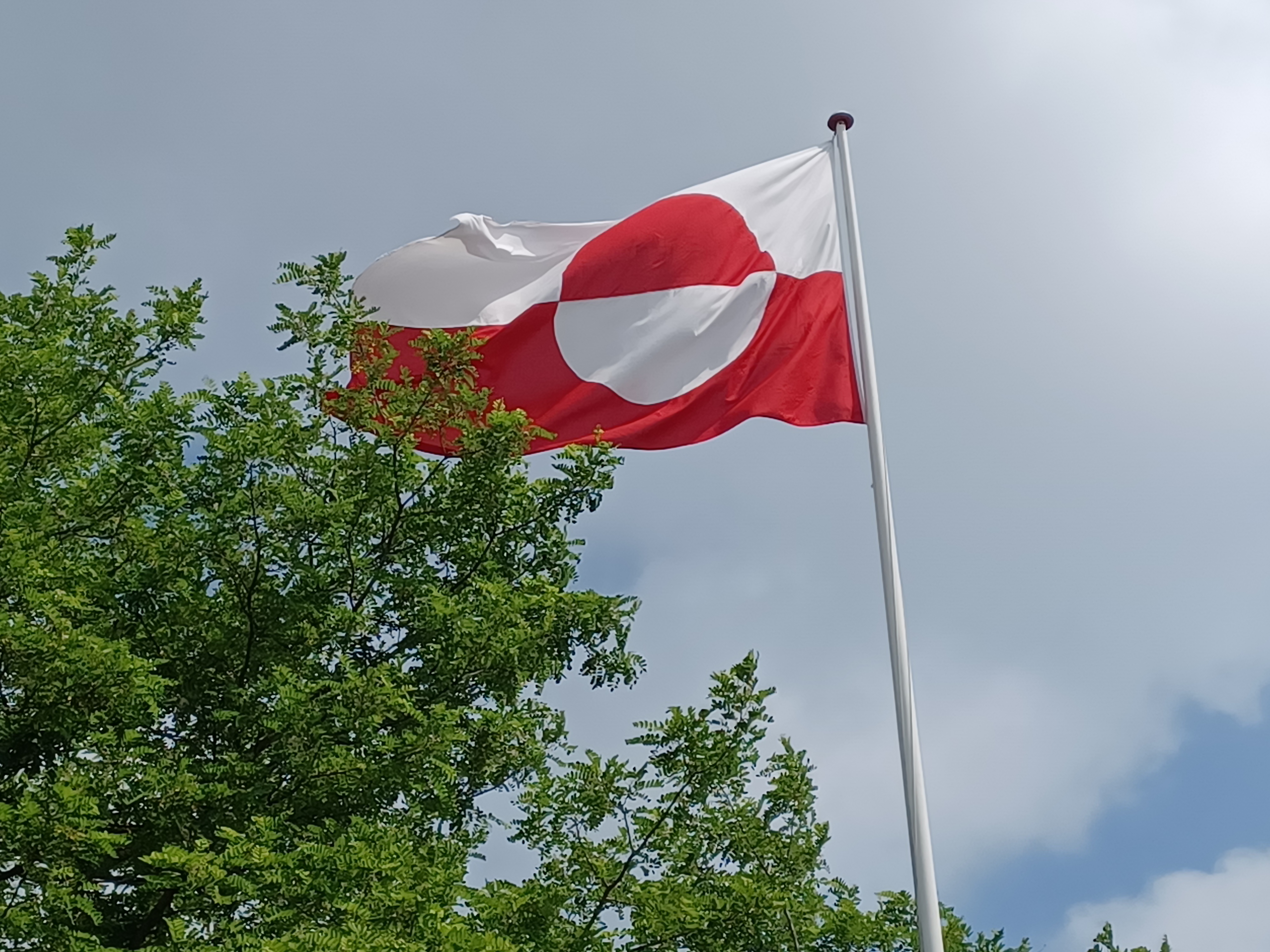 Det grønlandske flag