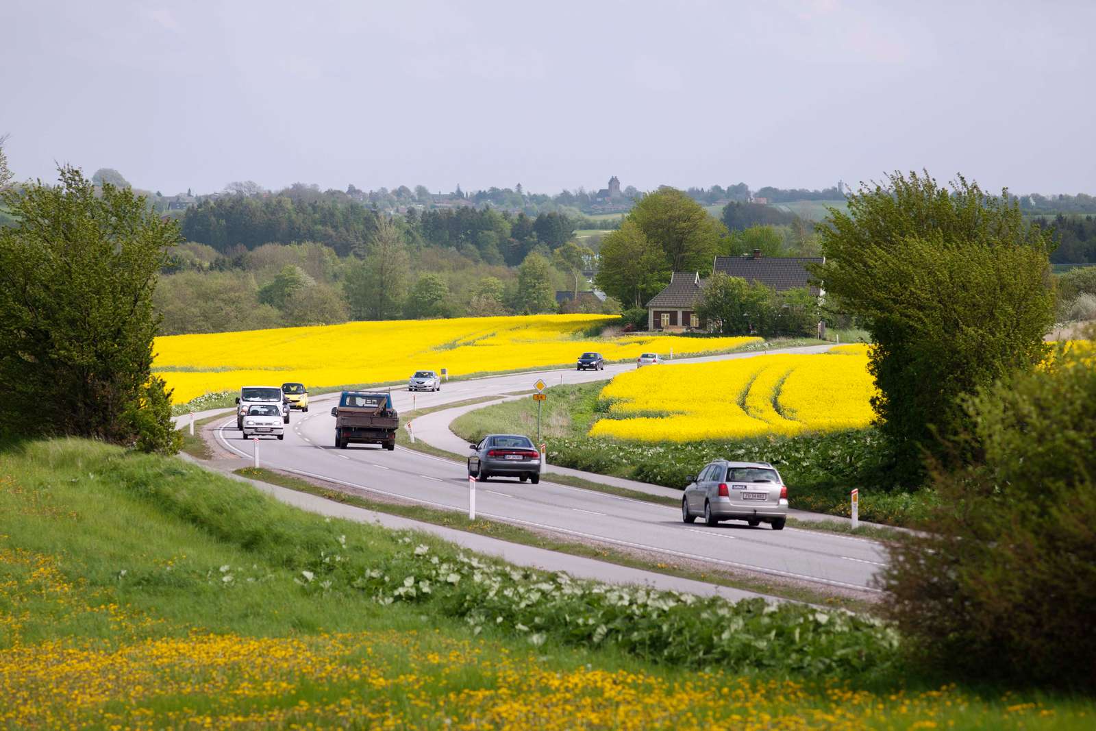Biler kører på strækningen Næstved-Rønnede